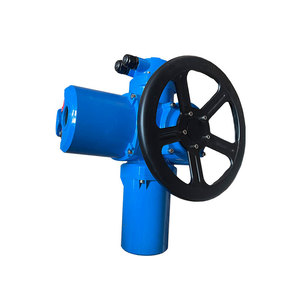 มอเตอร์ควบคุมการไหลแบบ DZW-20 สำหรับน้ำ  รุ่น OEM ปรับแต่งได้  พร้อมตัวกระตุ้น Dzw-20 Hq รุ่น Hq-006 - Product Image 5