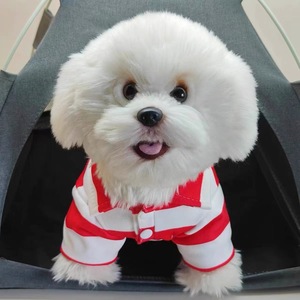 Summer Striped Polo Shirt <b>For</b> <b>Small</b> <b>Dogs</b> Lightweight Pet <b>Clothes</b> Red Green Blue Pink Stripes T-Shirt <b>For</b> Puppies - Product Image 4