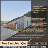 Poudre de menthe Breakwall en grande quantité, extraits de menthe de qualité alimentaire, fabrication SC, approvisionnement direct usine, chaîne d'approvisionnement OEM, conditionnement en bouteille