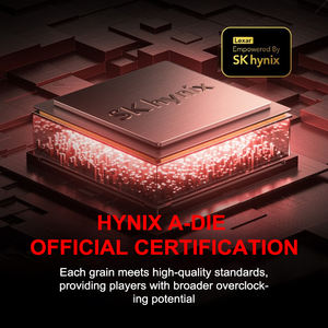 Factory Wholesale Lexar ARES DDR5 6800 16GB*<strong>2</strong> REG ECC 1.4V Gaming RAM Stock for Desktop PC <strong>Memory</strong> <strong>Module</strong> - Product Image 5