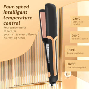 Lisseur de cheveux professionnel portable à plaques en titane LED, pour usage domestique, vente en gros d'usine à prix bas, produit phare pour achats groupés - Product Image 4