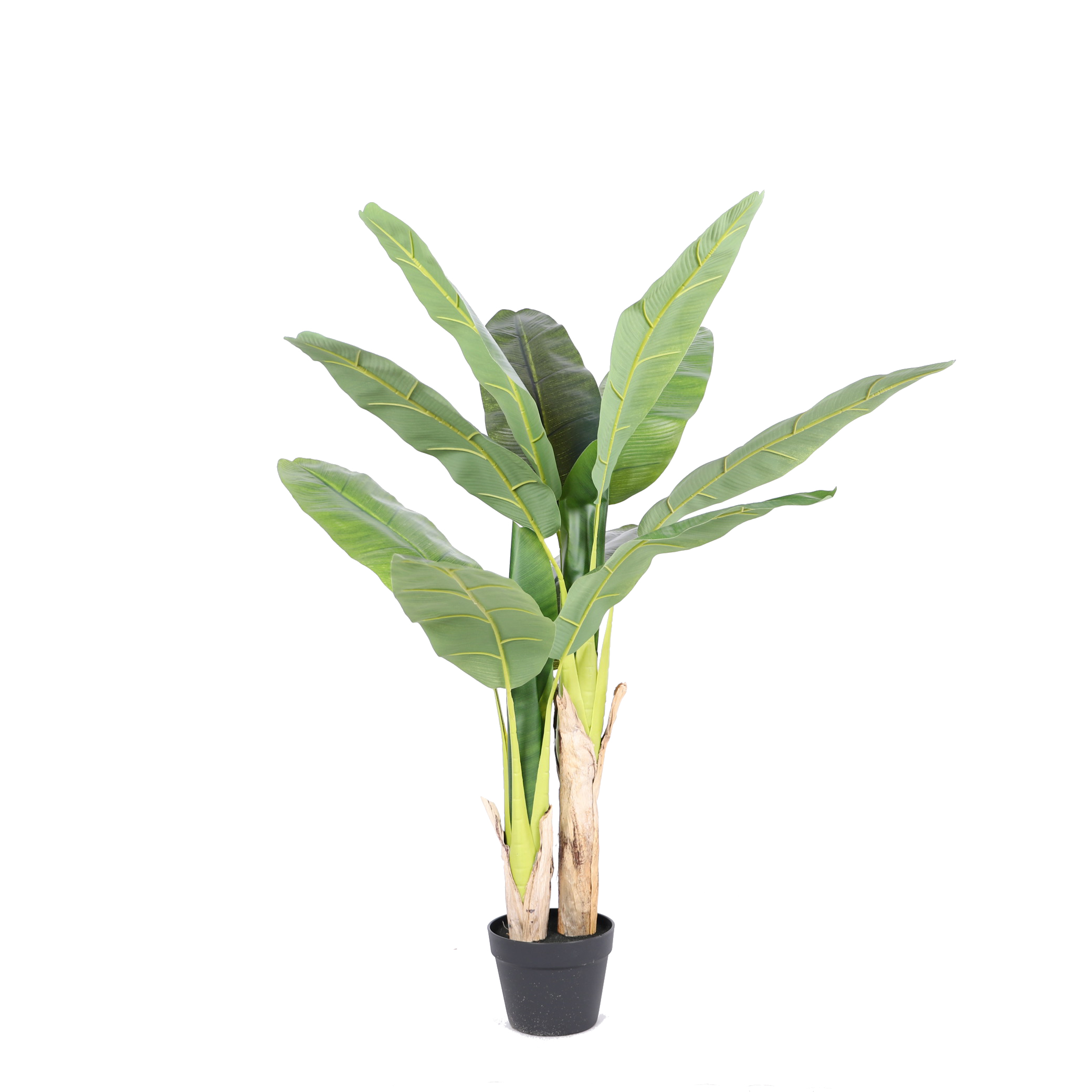 120 ซม. พร้อมไม้จริง