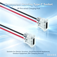 Conector USB Tipo-C Hembra LN-001 de 2 Pines, Cable Precableado, Carcasa Transparente, Montaje en Panel, Toma de Carga, Interfaz de Carga DIY