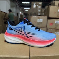 Chaussures de sport antidérapantes pour hommes et femmes, avec empeigne en maille dégradée, semelle en caoutchouc absorbant les chocs, pour la course à pied et les entraînements en extérieur