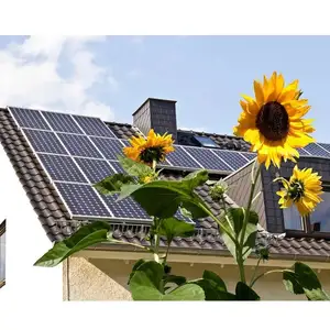 Yingli Best Price Factory Supply Solar Panel Plate 625w Solar Panels 400 Watt 605 550 500Watt Solar Panel Yingli