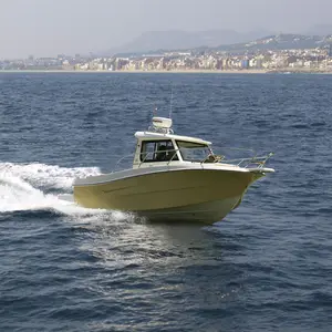 Mini schnelles Meer gebrauchtes Glasfaser-Rumpfmaterial erschwingliches Fischerboot Luxusyacht in China hergestellt mit Rührenantriebsmotor