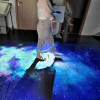 Système de projection immersive AR sur sol et mur, écran LCD interactif tout-en-un, projecteur en aluminium