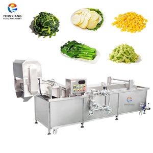 Machine industrielle automatique de blanchiment des fruits et légumes : mangue, épinards, maïs, gingembre, chou - Product Image 1