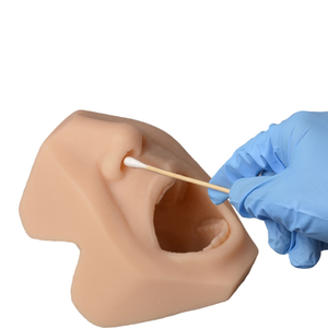 การฝึกปฏิบัติทางวิทยาศาสตร์การแพทย์ การพยาบาล การตรวจวินิจฉัยแอนติเจนในโพรงจมูกและโพรงปาก  แบบจำลองการใส่ไม้พันสำลีตรวจทางปาก - Product Image 2