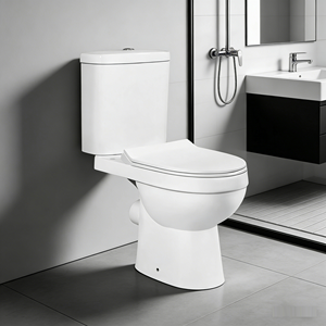 Toilettes à bas prix, faciles à nettoyer, surface émaillée, cuisson à haute température, toilettes économiques à vendre à prix avantageux - Product Image 4