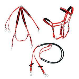 Brida de <span class=keywords><strong>caballo</strong></span> árabe de carreras de PVC duradero, riendas de cabeza de goma impermeables, tipos de cabestro occidental, nailon alto rojo y azul disponible - Product Image 3
