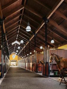 عشاق رعاية الخيل الأكثر مبيعًا في معظم المدن الأوروبية تباع بسعر منخفض ولكن مع حصان عالي الجودة للبيع - Product Image 3