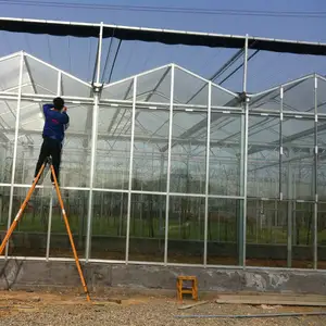 Giardino usato serra idroponica pannelli di vetro per la vendita