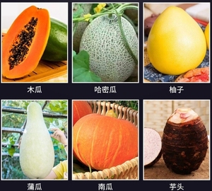 เครื่องปอกและที่คว้านแกนสำหรับ1.5kW ขูดแคนตาลูปเกรปฟรุตสับปะรดและผลไม้อื่นๆ - Product Image 4