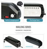 Batterie de vélo électrique Hailong Down Tube 36V 10Ah 13Ah 15Ah 20Ah, batterie de vélo électrique 36V 20Ah, pack de batteries lithium