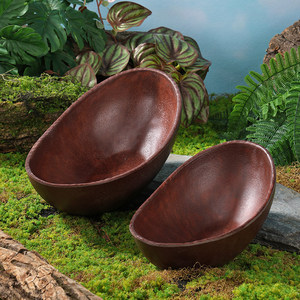 Wild Mountain Style Hot <b>Pot</b> Creative Tableware: Wild Mushrooms, Green Bamboo Shoots, Bamboo Fungus Plate, Golden Ear Mushroom - Product Image 3