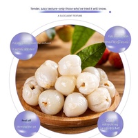 Groothandel 567g Geconserveerde Lychees in Sirop Hoge Kwaliteit Gehele Lychees Ingeblikt Fruit voor Supermarkt Ondersteuning OEM Private Label Export