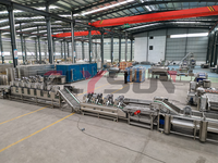 Volledig automatische productielijn voor het frituren van diepvriesproducten, zoals diepvriesfrieten en kipnuggets.