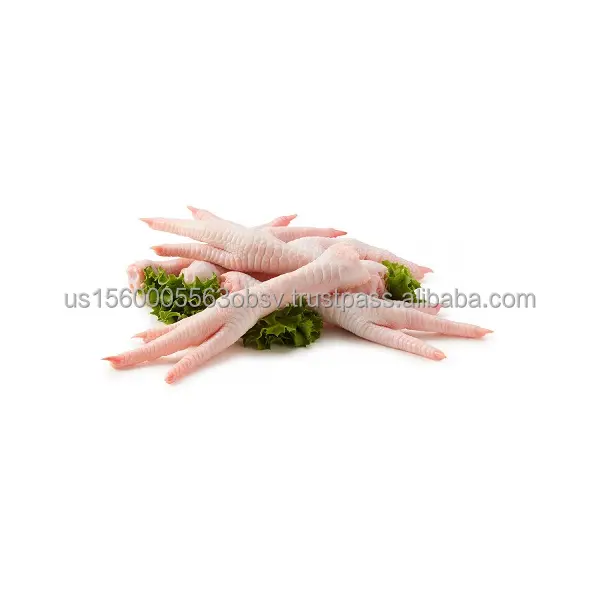 Frozen chicken feet wholesale exporter Frozen chicken feet for export China