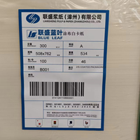 Carton ivoire C1S FBB GC1 en vrac standard pour emballage de cartons – Fournisseur chinois