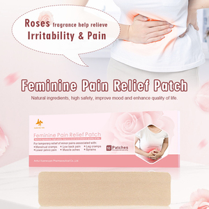 Cerotto Termico Femminile Delicato con Estratti di Erbe Cinesi <span class=keywords><strong>per</strong></span> il Comfort Mestruale, Supporto Ecologico e Conscio <span class=keywords><strong>per</strong></span> il Calore, Disponibile OEM - Product Image 2