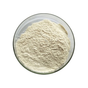 Poudre d'herbes en gros, poudre de Semen Pruni, poudre de graines de cerise chinoise naine - Product Image 3