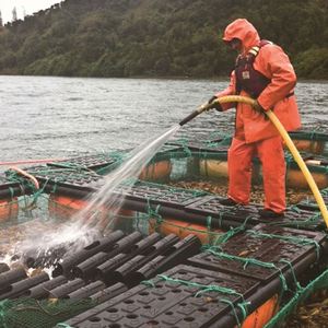 Équipement <span class=keywords><strong>d</strong></span>'aquaculture <span class=keywords><strong>d</strong></span>'élevage <span class=keywords><strong>de</strong></span> poissons <span class=keywords><strong>d</strong></span>'<span class=keywords><strong>occasion</strong></span> <span class=keywords><strong>de</strong></span> haute qualité, cage à filet <span class=keywords><strong>de</strong></span> pêche à vendre - Product Image 5