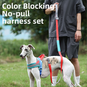 Harnais Confortables pour Animaux de Compagnie, Ensemble de Harnais de Luxe Anti-Traction pour Chiens, Accessoires pour Chiens, Ensemble de Harnais pour Chiens avec Logo Personnalisé - Product Image 4