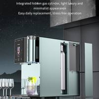 Nieuwste Elektrische Sprankelende RO UF Waterdispenser 3-traps filtratie 0.0001µm filter Heetwaterfunctie Zelfreinigend Fruit smaak
