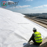 WSL Tissu géotextile flexible en filaments non tissés robustes pour la stabilisation des sols, idéal pour les barrages, les chutes d'eau et les travaux d'ingénierie anti-érosion des pentes