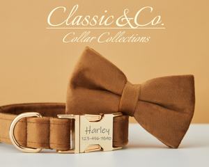 Collar de Perro Personalizado Color Café con Lazo y Correa, Grabado con Nombre de Mascota, Hebilla Metálica, Regalo de Cumpleaños para Cachorro, Envío Gratis - Product Image 3