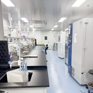 Banco de trabajo de laboratorio ampliamente utilizado, biología, química, cultivo de tejidos, muebles de laboratorio electrónico, mesa de laboratorio Dental - Product Image 5