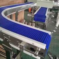 Op maat gemaakt modulair bandtransportsysteem voor fruit- en groenteverwerkingslijnen