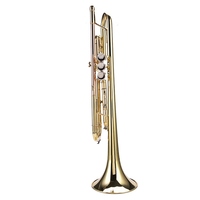 LADE Professional Bb Flat Brass Trumpet Instrument Set Kit Accessory