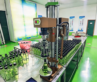 Machine de scellage et de capsulage portable automatique pour bouteilles en verre, bouteilles d'huile d'olive, bouteilles de liqueur, bouteilles en plastique, bouteilles à bouchon aluminium et boîtes de conserve filetées