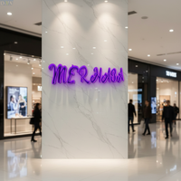 Panneau publicitaire LED néon 3D personnalisable en acier inoxydable couleur infinie pour la décoration extérieure des entreprises
