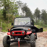 Voiture Classique Certifiée CE Willys Jeep Tout-Terrain Buggy Classique Plusieurs Couleurs 2/4/6 Personnes Essence en Promotion