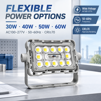 Projecteur LED extérieur commercial 60W IP66 IK08 à angle de faisceau multiple pour éclairage paysager