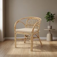 Fauteuil Dolvio en rotin polyvalent, idéal pour la détente et la vie en plein air – Confort optimal, produit phare