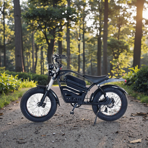 2025 almacén Ridstar Q20Mini bicicleta eléctrica Motor sin escobillas batería de litio montaña neumático grueso bicicleta eléctrica Dirt <span class=keywords><strong>E</strong></span> Bike - Product Image 2