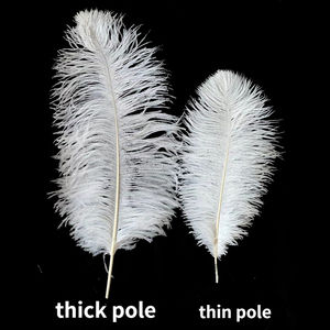 Vente directe d'usine, plumes d'autruche de 15 à 80 cm, plumes blanches pour spectacle sur scène, décoration de mariage DIY - Product Image 5