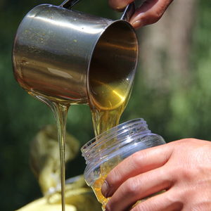 <span class=keywords><strong>Miel</strong></span> liquide brut 100% pur certifié HACCP Première qualité <span class=keywords><strong>Miel</strong></span> mûr - Product Image 1