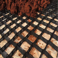 100mm 150mm 200mm plástico perforado texturizado HDPE panal Geomallas pavimentadora plástico camino pavimentado rejilla Geocell Web System