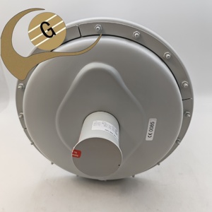 Regulador de <span class=keywords><strong>Gas</strong></span> Industrial Elster MR50 <span class=keywords><strong>SF6</strong></span> DN50 PN6/PN16 6Bar con Membrana de Seguridad para Calderas - Product Image 6