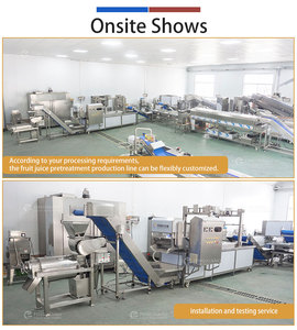 เครื่องสกัดน้ำขิงขนาด 0.5-2 ตัน/ชม. จากโรงงาน พร้อมสายการผลิตสำหรับล้างและแปรรูปขิง - Product Image 5