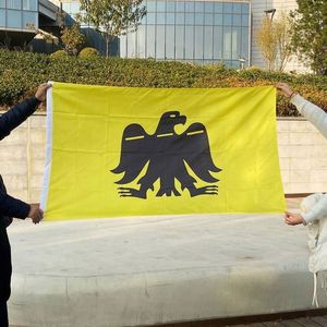 3x5ft 90x150cm Good Quality Digital Printing 100D Polyester Outdoor Use Custom logo Yellow <b>Flags</b>, Banners - Product Image 2