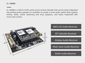 Cloudyx Active Home Amplifier 无线立体声数字音频 DAC 板，带 WiFi 和 <span class=keywords><strong>BT</strong></span> 输入功能，型号 CL-100WB - Product Image 4