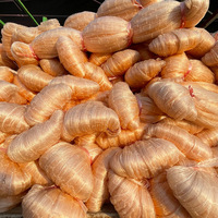 Filet de pêche en nylon monofilament de haute qualité, 100 mètres, double nœud, filet à branchies, filet de lancer, en provenance de Chine, matériau PA
