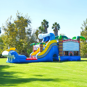Castillo Inflable Comercial con Tobogán de Agua para Niños, Ideal para Fiestas de Cumpleaños y Parques de Diversiones - Product Image 3