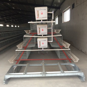 Gia Cầm Farming Thiết Bị Tự Động Một Loại Pin Đẻ Gà Mái Lồng - Product Image 6